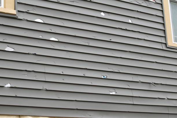 Best Commercial Junk Removal  in Shelburne Falls, MA